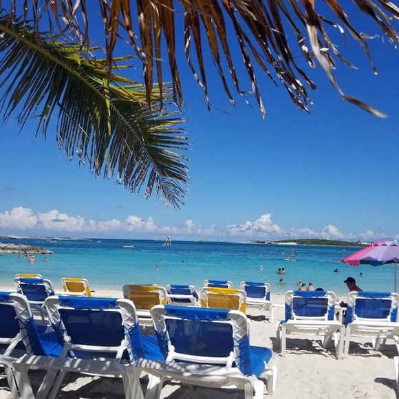 Meet your Posher, Brandy - Picture 1 of 1